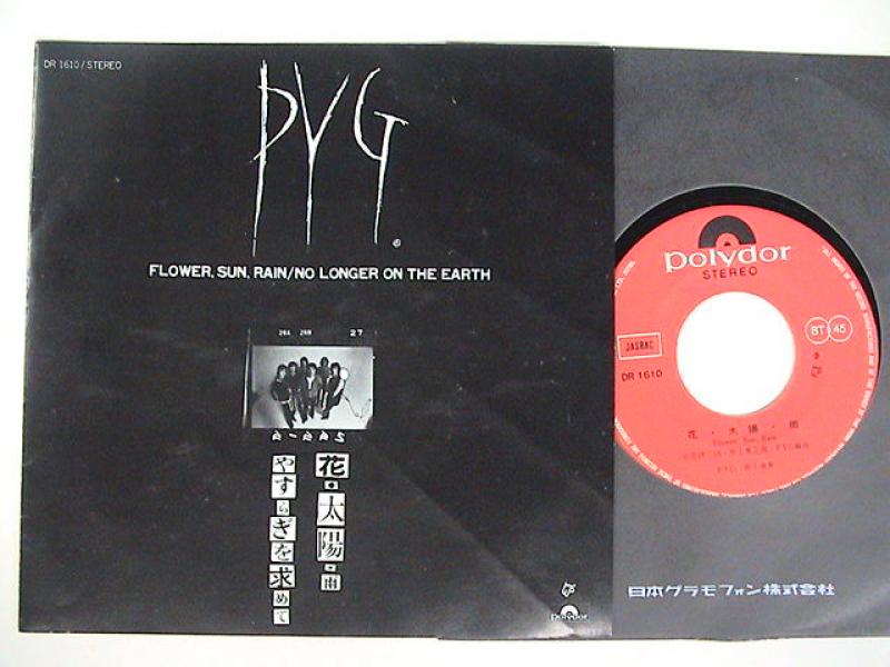 PYG/花・太陽・雨 レコード通販・買取のサウンドファインダー