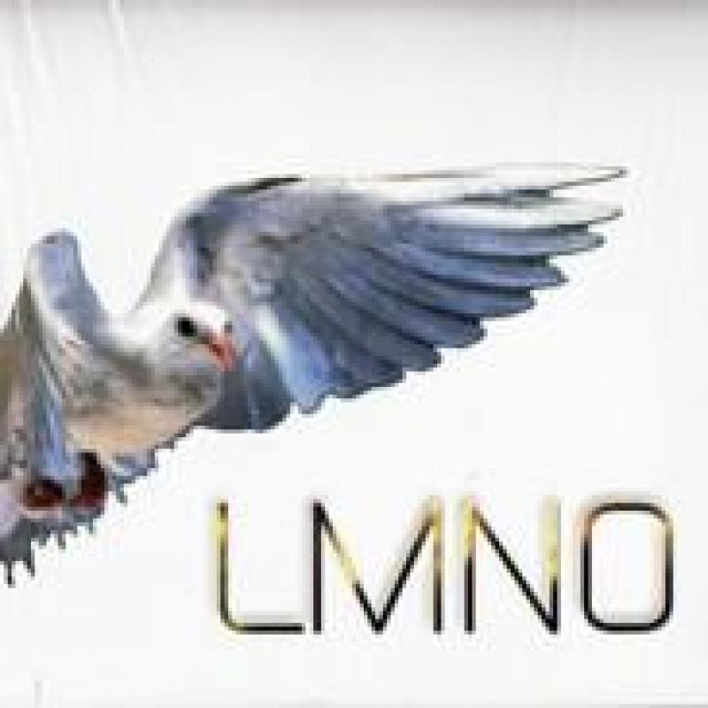LMNO/INVIGORATINGの12インチレコード通販・販売ならサウンドファインダー"