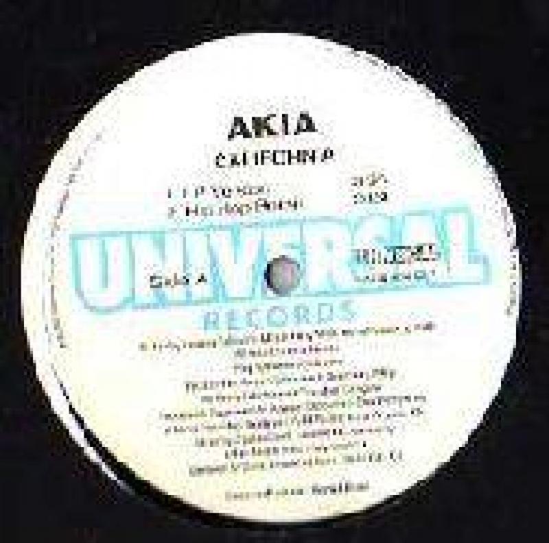 AKIA/CALIFORNIAの12インチレコード通販・販売ならサウンドファインダー"