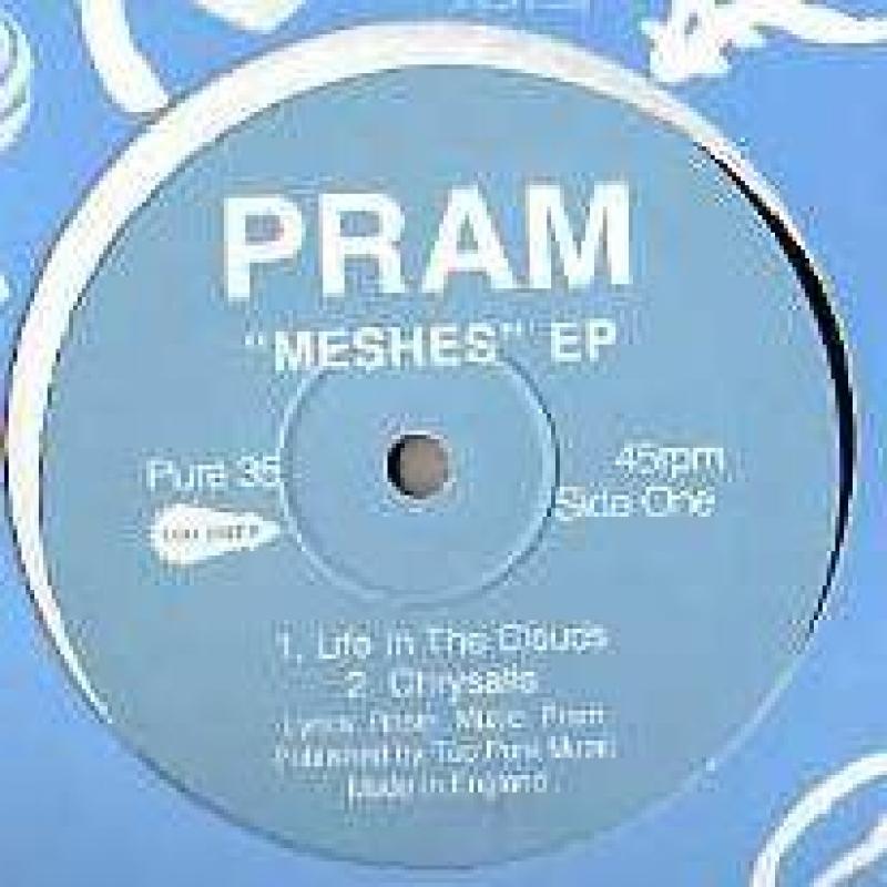 PRAM/MESHES