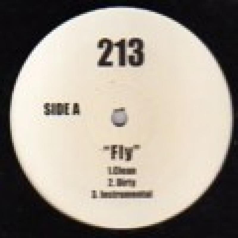 213/FLYの12インチレコード通販・販売ならサウンドファインダー"