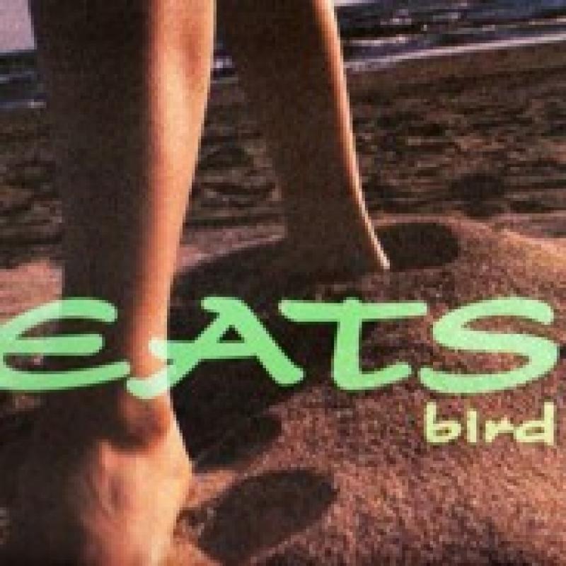 BIRD/BEATSの12インチレコード通販・販売ならサウンドファインダー"