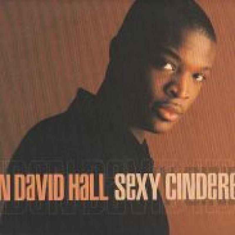LYNDEN DAVID HALL/SEXY CINDERELLA レコード通販・買取のサウンドファインダー