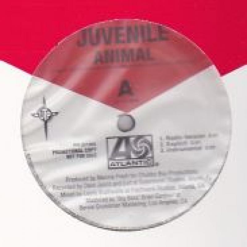 JUVENILE/ANIMALの12インチレコード通販・販売ならサウンドファインダー"
