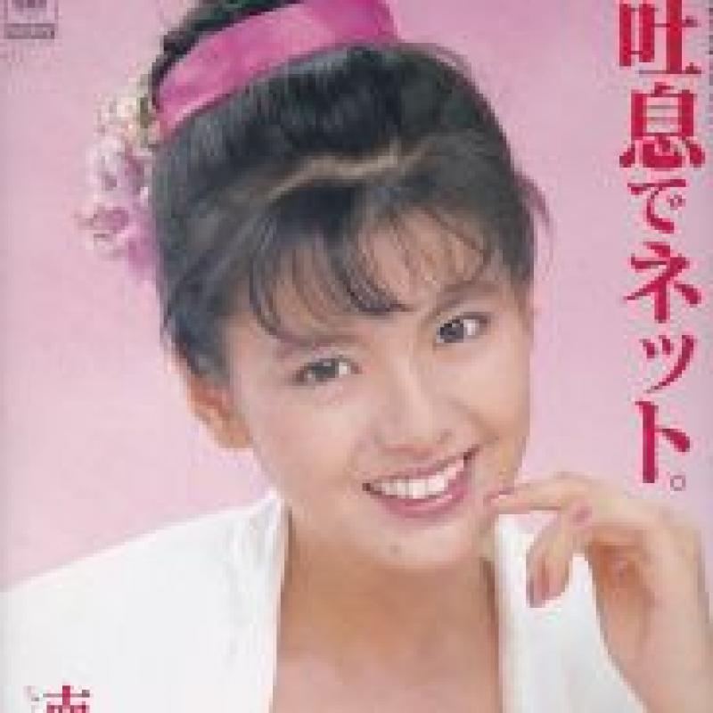 南野 陽子/吐息でネットのシングル盤通販・販売ならサウンドファインダー"