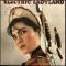 ELECTRIC LADYLAND - ELECTRIC SOUL FOR REBELS (2LP)||