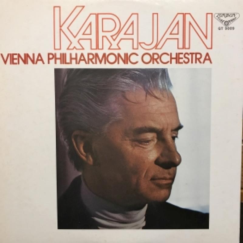 KARAJAN/ブラームス 交響曲 第3番のLPレコード通販・販売ならサウンドファインダー"