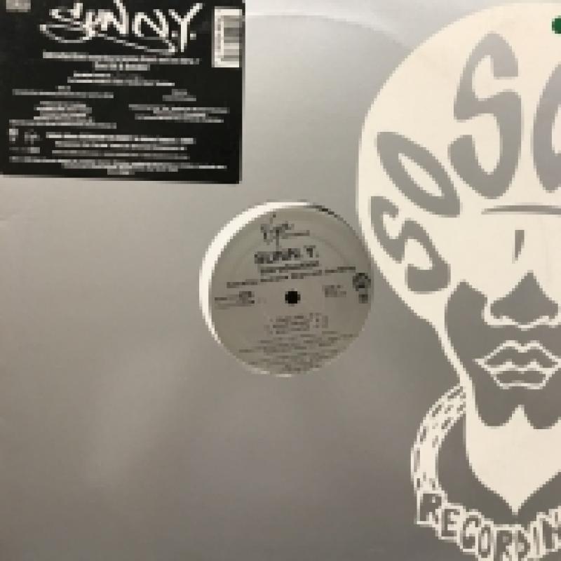 SUNN.Y./INTRODUCTIONの12インチレコード通販・販売ならサウンドファインダー"