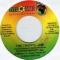 THE TRAFFIC JAM feat. DAMIAN MARLEY & BUJU BANTON||