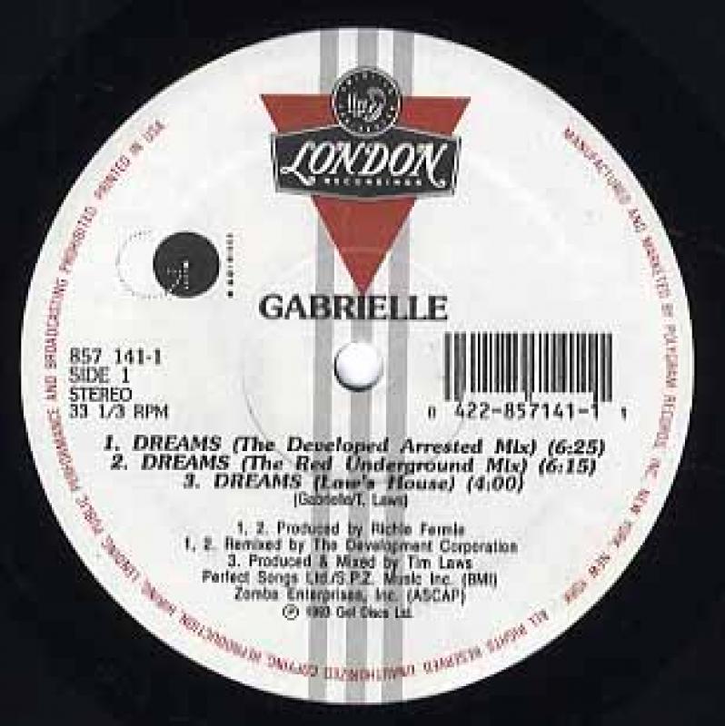 GABRIELLE/DREAMSの12インチレコード通販・販売ならサウンドファインダー"