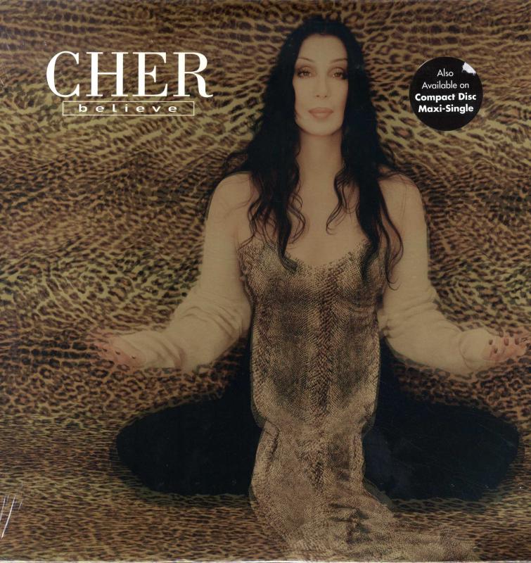 CHER/BELIEVEの12インチレコード通販・販売ならサウンドファインダー"