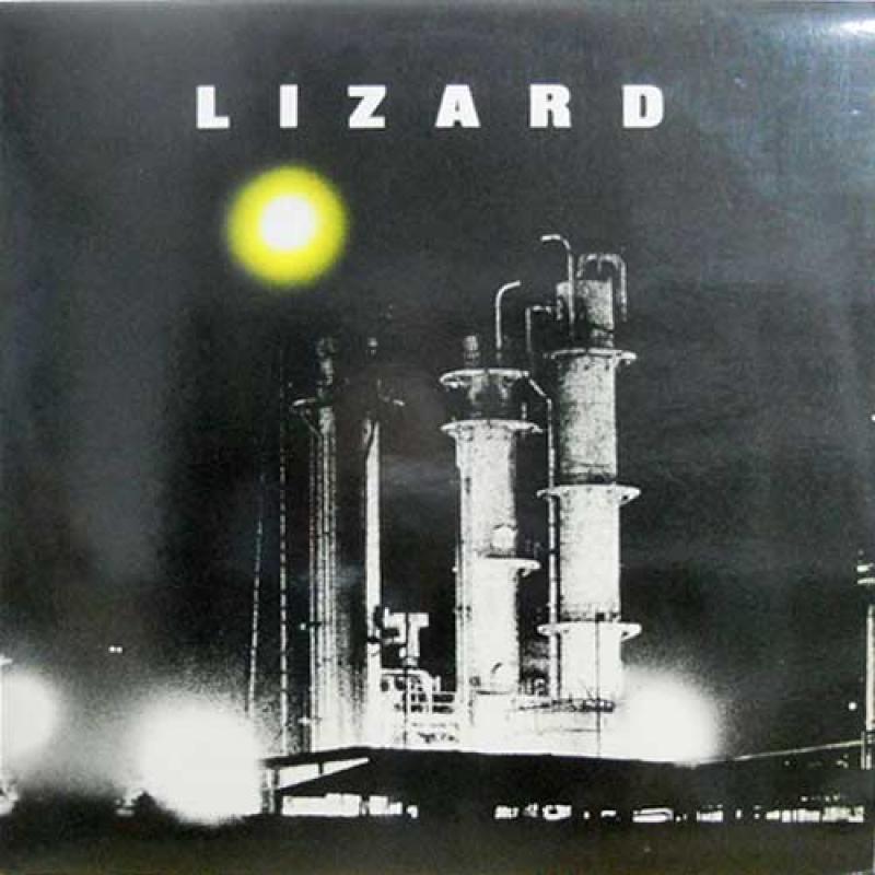 LIZARD/LizardのLPレコード通販・販売ならサウンドファインダー"