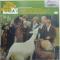 PET SOUNDS y180gdʔ / JViIz