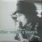 THE LIVE ADVENTURE OF THE WATERBOYS