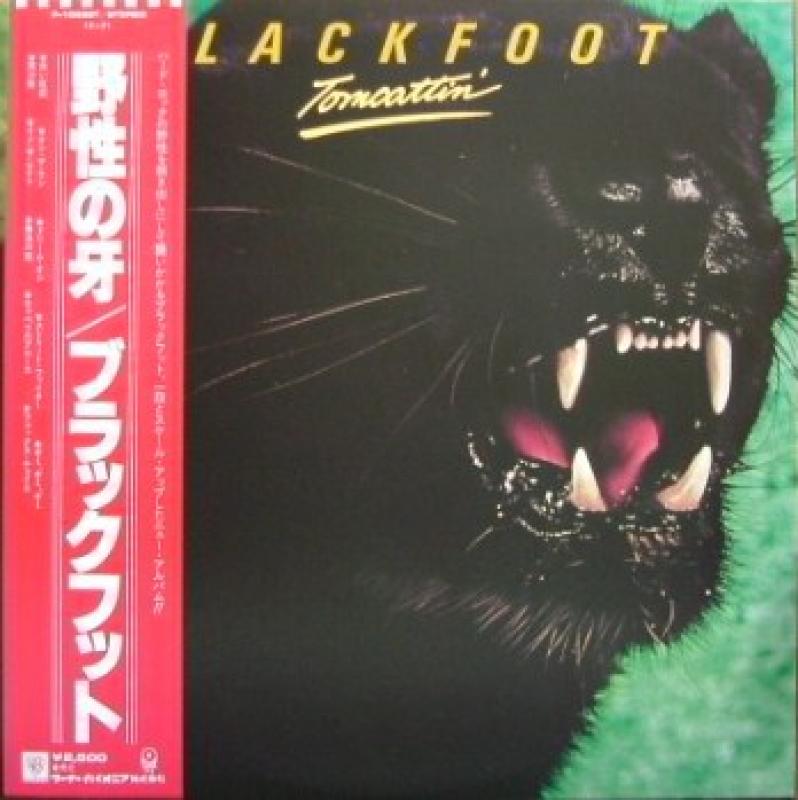 BLACKFOOT/野生の牙のLPレコード通販・販売ならサウンドファインダー"