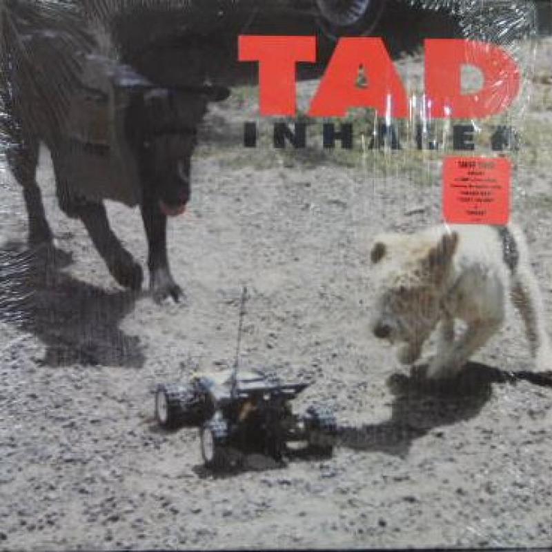 Tad/InhalerのLPレコード通販・販売ならサウンドファインダー"