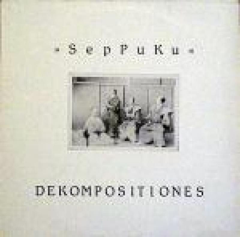 SepPuKu/Dekompositionesの12インチレコード通販・販売ならサウンドファインダー"