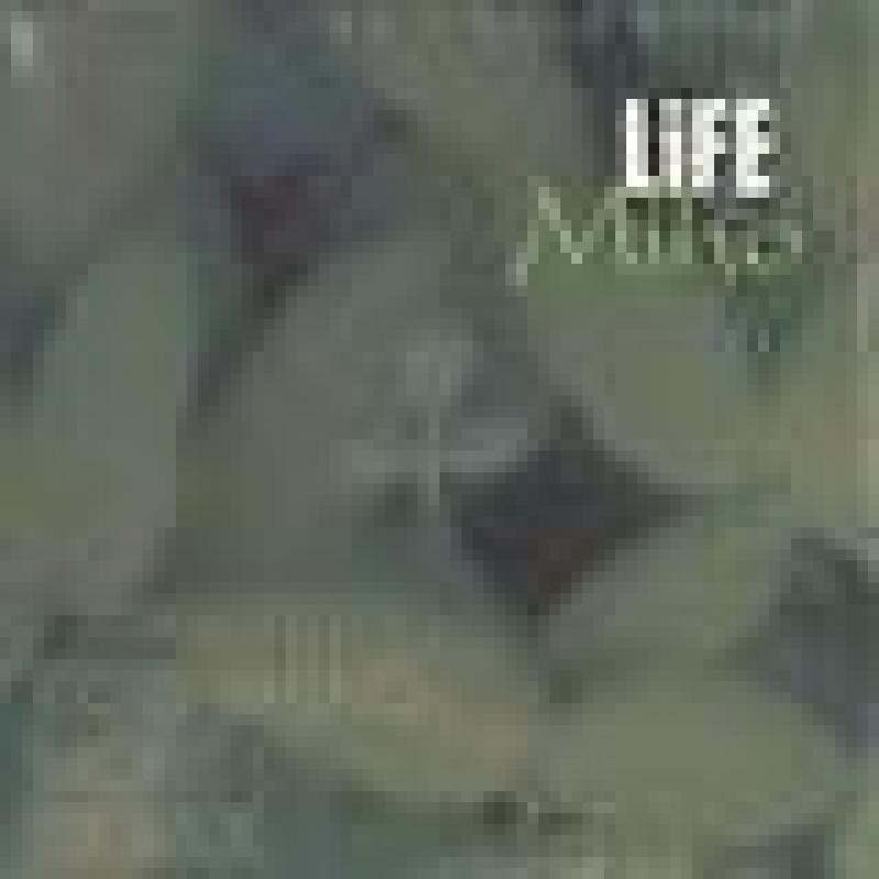 miho/Lifeの12インチレコード通販・販売ならサウンドファインダー"