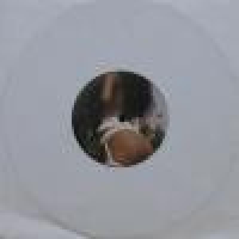 Dr. Kucho! & Pedro Del Moral - Rain (I Want A Divorce) Dr. Kucho! & Pedro Del Moral - Rain (I Want A Divorce)
