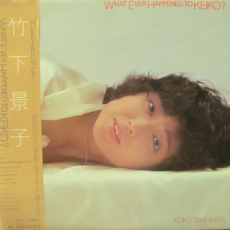 竹下景子/What