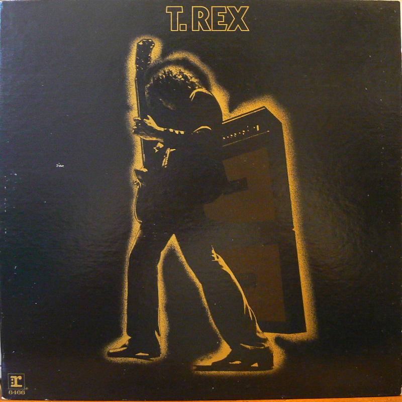 T.REX/ELECTRIC WARRIORのLPレコード通販・販売ならサウンドファインダー