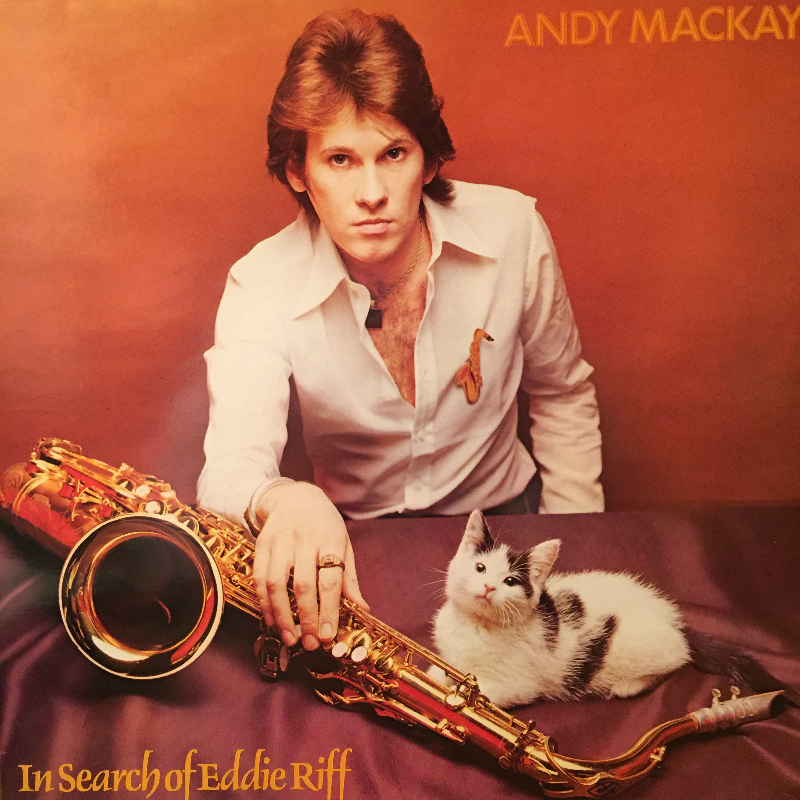 Andy Mackay/In Search Of Eddie RiffのLPレコード通販・販売ならサウンドファインダー
