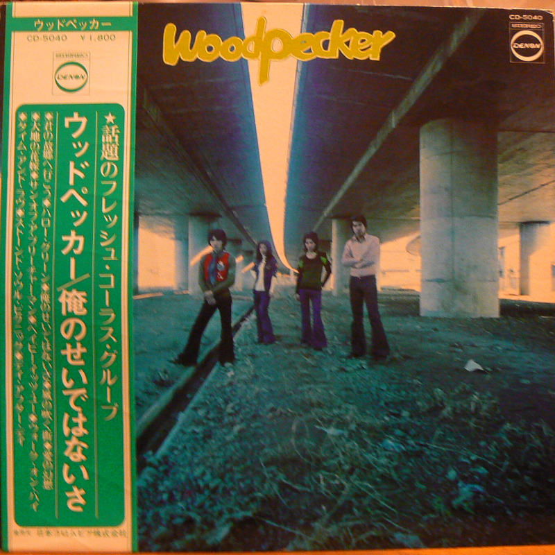 ウッドペッカー/俺のせいではないさのLPレコード vinyl LP通販・販売ならサウンドファインダー