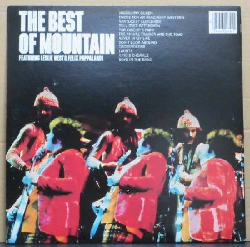MOUNTAIN/THE