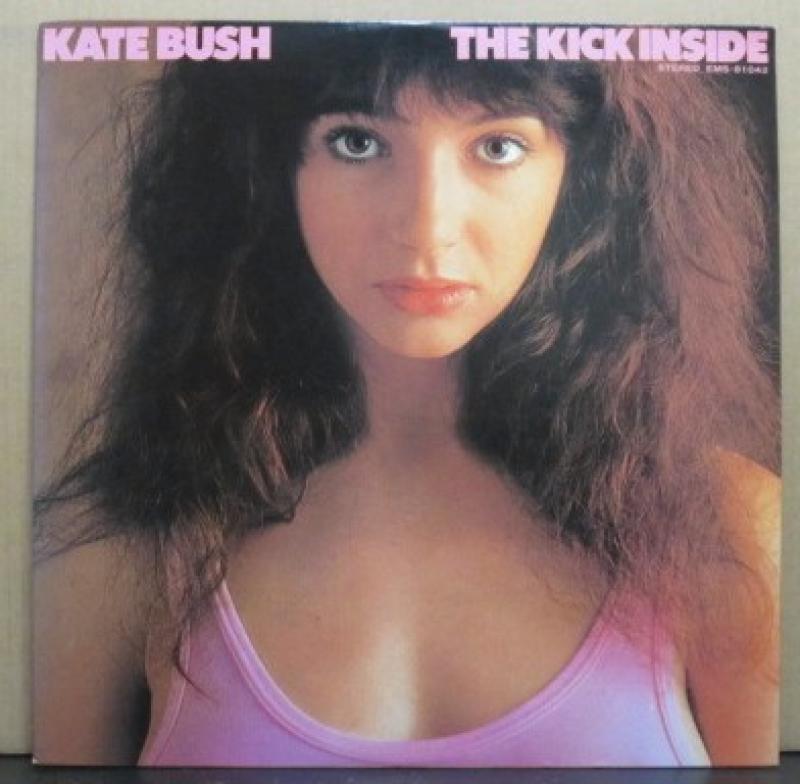 ケイト・ブッシュ/天使と小悪魔のLPレコード vinyl LP通販・販売ならサウンドファインダー