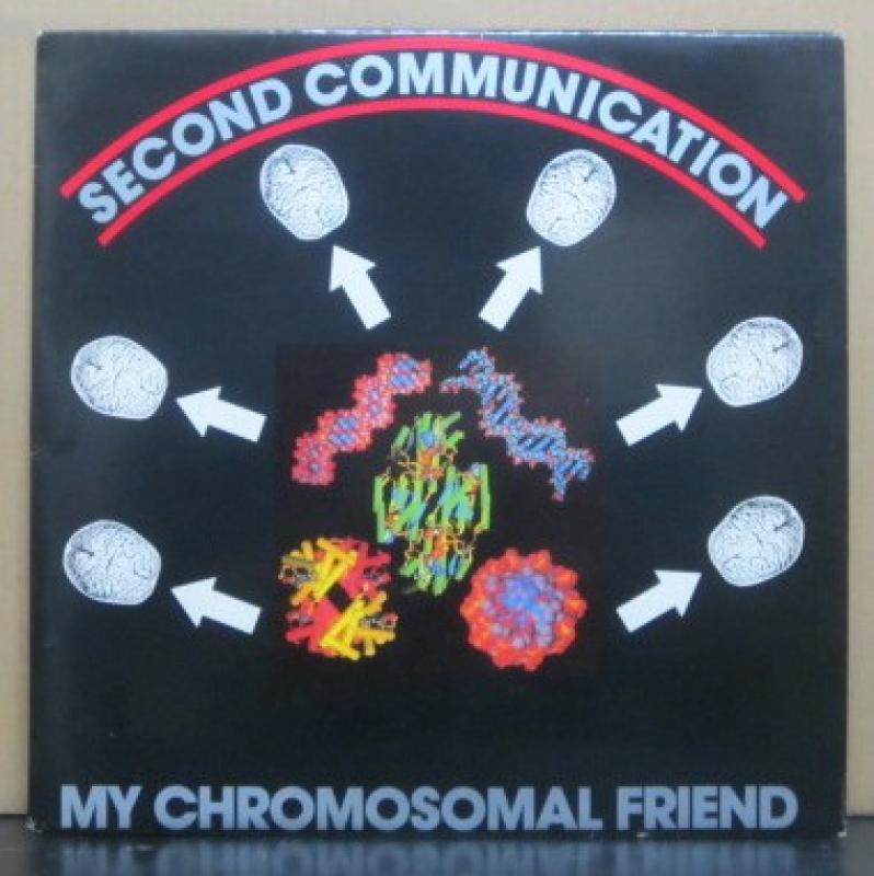 2ND COMMUNICATION/MY CHROMOSOMAL FRIENDのLPレコード vinyl LP通販・販売ならサウンドファインダー