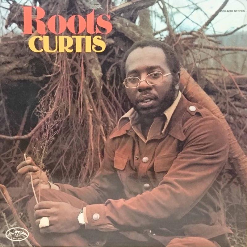 CURTIS MAYFIELD/RootsのLPレコード vinyl LP通販・販売ならサウンドファインダー