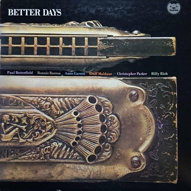 PAUL BUTTERFIELD'S BETTER DAYS/Paul Butterfield's Better DaysのLPレコード vinyl LP通販・販売ならサウンドファインダー
