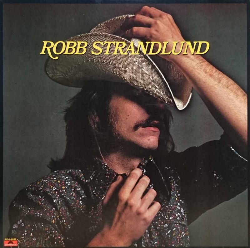 ROBB STRANDLUND/Robb StrandlundのLPレコード vinyl LP通販・販売ならサウンドファインダー