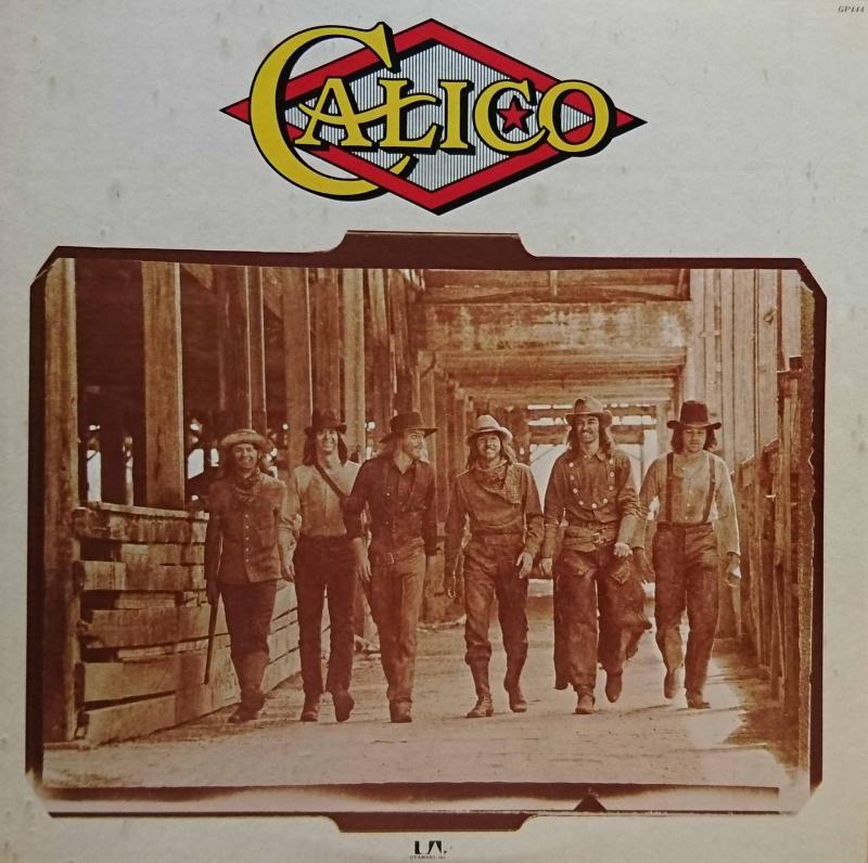 CALICO/CalicoのLPレコード vinyl LP通販・販売ならサウンドファインダー