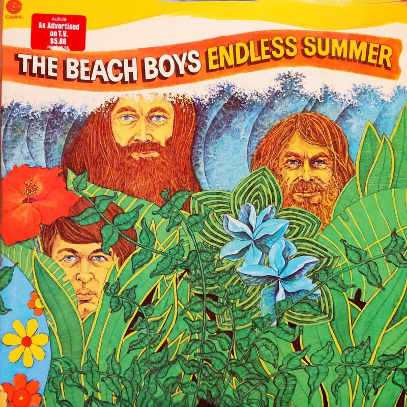 THE BEACH BOYS/ENDLESS SUMMERのLPレコード vinyl LP通販・販売ならサウンドファインダー