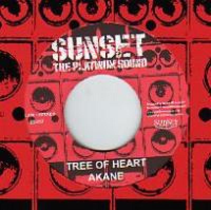 廃盤【REGGAE】AKANE／TREE OF HEART 7インチ レコード