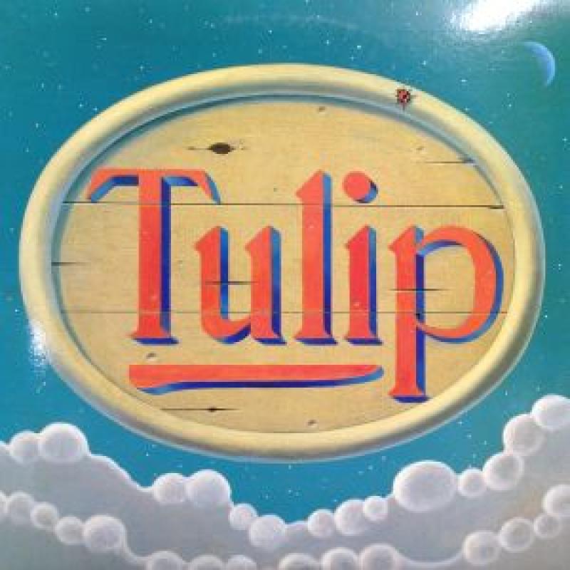 TULIP  チュ－リップ  レコードまとめ売り  11枚 8.11 パゴタ : TULIP （チューリップ） | HMV&BOOKS online