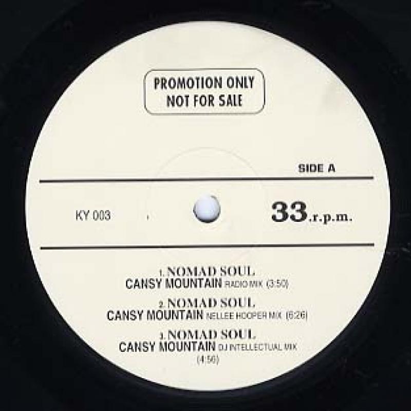 PAPRIKA SOUL Come With Me 12インチシングル