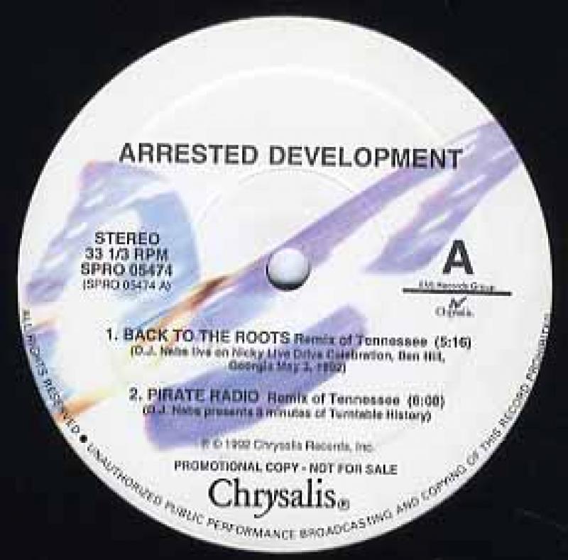 Arrested Development レア盤 プロモ Arrested Development レア盤 プロモ