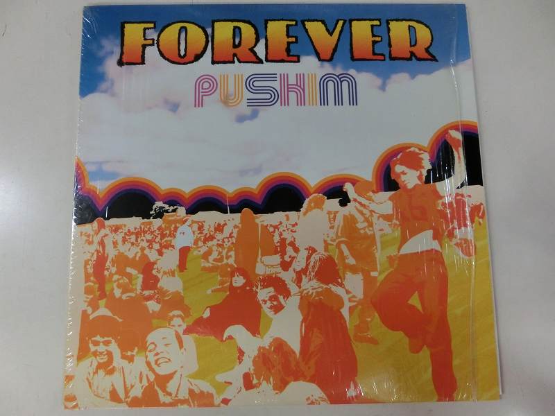 【2025年新作】 Pushim/FOREVER レコード通販・買取はサウンドファインダー 邦楽