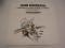Louis Marischal - Orchestre Du Theatre National De Prague* / Quatuor Parrenin