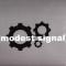 MODEST SIGNAL	