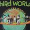 ROCK THE WORLD (LP)