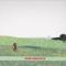 SEED (LP)