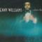 LOVE CURRENT (LP)||