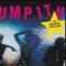 PUMP IT UP (LP)