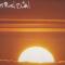 SUNSET (BIRD OF PREY)