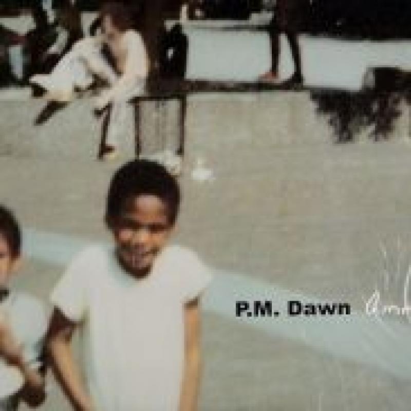COCOBEAT RECORDS新着レコード：2017年1月9日更新分 RASA、BOB MARLEY & THE WAILERS、P.M ...