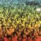 AUDIENCE||