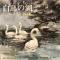 白鳥の湖